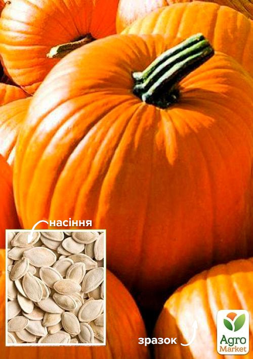

Тыква Ранняя сахарная ТМ Весна 100г