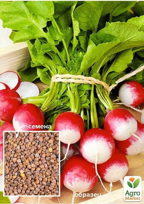 

Редис Мульти-пульти ТМ Весна 100г