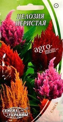 Целозія "Периста" ТМ "Насіння України" 0.2г