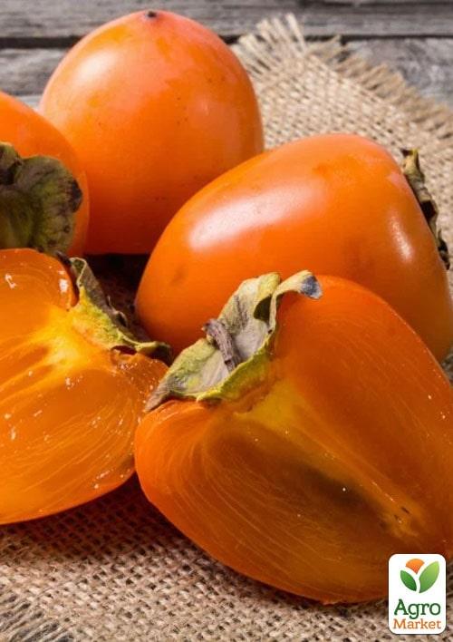 

Хурма на виргинском морозостойком подвое Украинка высший сорт!