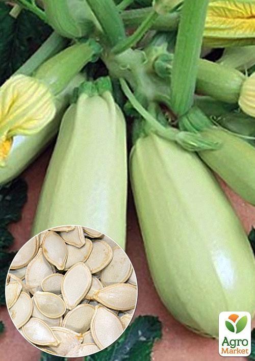 

На развес Кабачок Акробат ТМ Весна цена за 8г