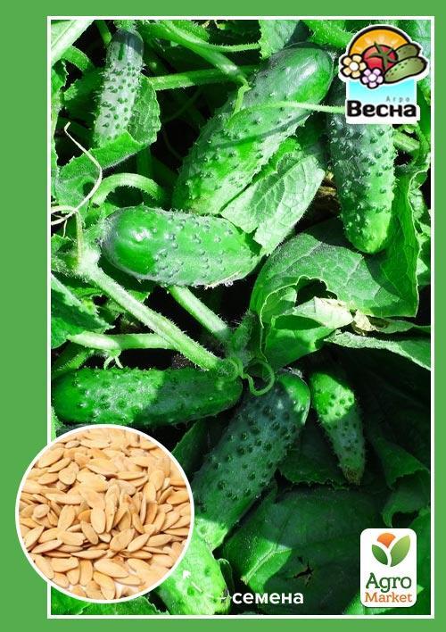 

Огірок Дітки на гілці F1 ТМ Весна 0.5г