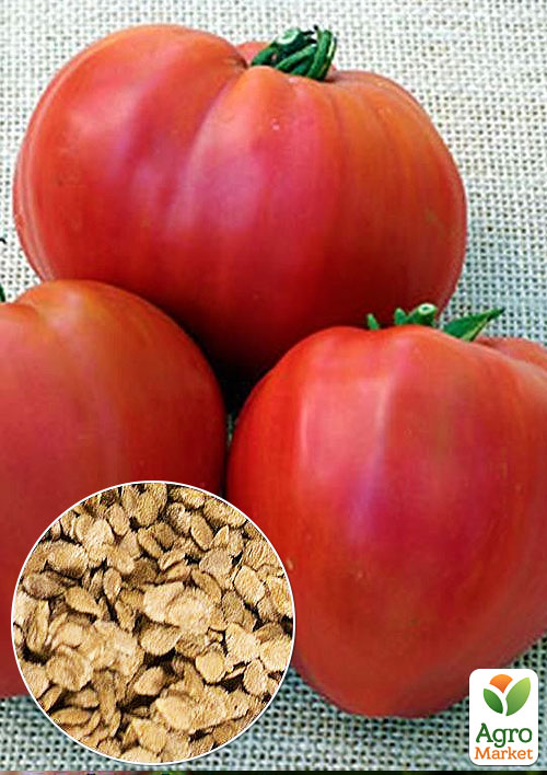 

На вагу Томат Китайський ліхтар ТМ Весна ціна за 1г