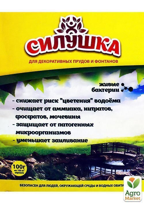 

Биодеструктор Силушка для декоративных прудов и фонтанов ТМ Биотех Актив 100г