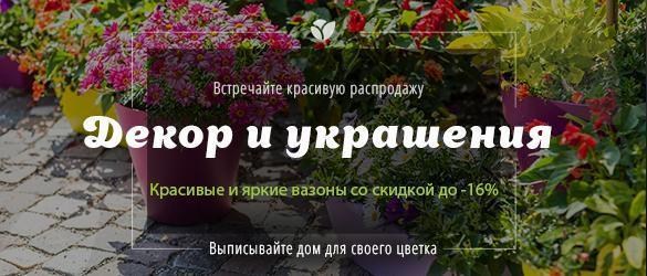 Оригинальный декор для Ваших цветов со скидкой до -16% Оригинальный декор для Ваших цветов со скидкой до -16%