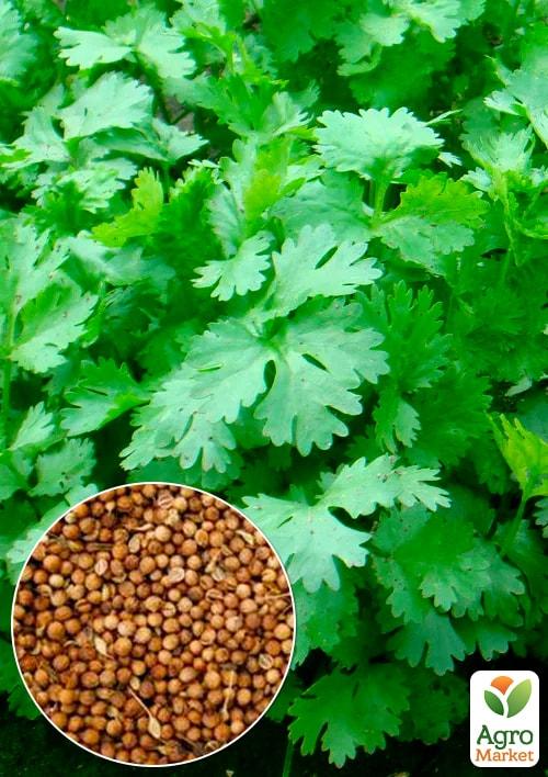 

На развес Кориандр Тайга ТМ Весна цена за 20г