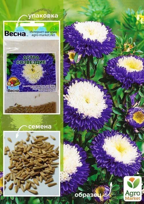 

Астра Созвездие (Зипер) ТМ Весна 0,5г