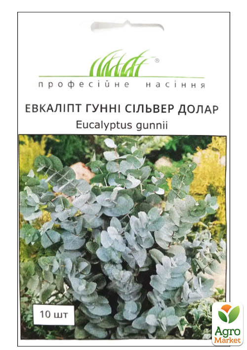 

Евкаліпт гунні Сільвер Долар ТМ Професійне насіння 10шт