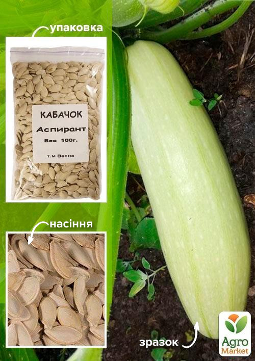 

Кабачок Аспірант ТМ Весна 100г