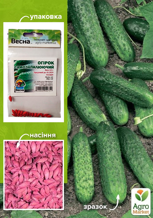 

Огурец обработанный Самоопыляемый (Зипер) ТМ Весна 0.5г
