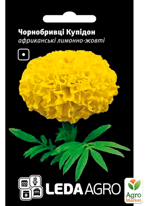 

Чорнобривці Купідон ТМ Leda Agro 0,2г