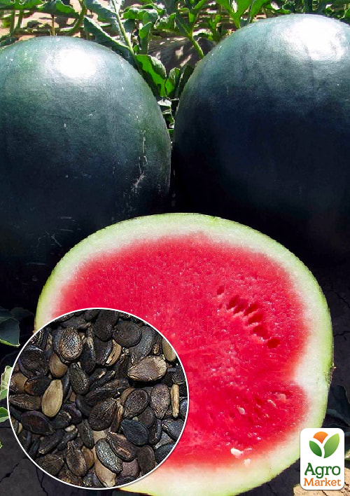 

На развес Арбуз Гурман ТМ Весна цена за 6г