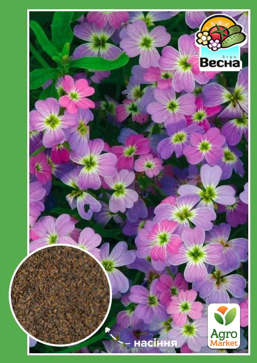 

Матиола ароматная Многолетняя ТМ Весна 1г