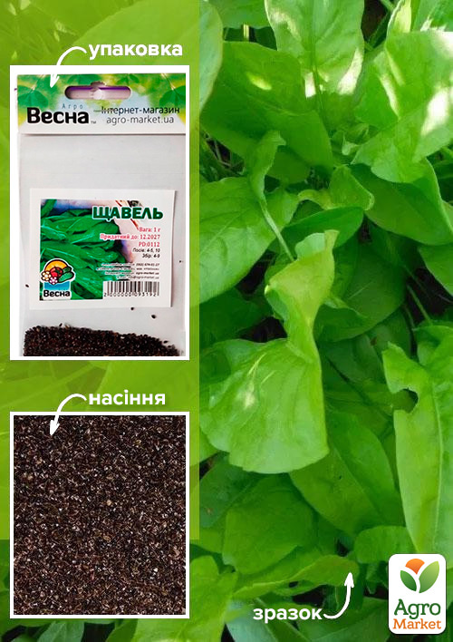 

Щавель (Зипер) ТМ Весна 1г