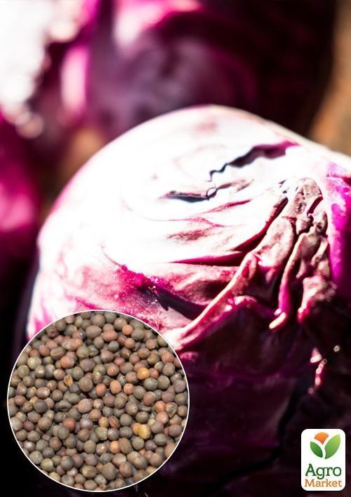 

На вагу Капуста Червоноголова ТМ Весна ціна за 2г