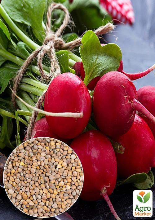 

На развес Редис Подснежник ТМ Весна цена за 10г