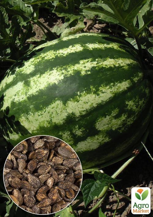 

На развес Арбуз Княжич ТМ Весна цена за 6г