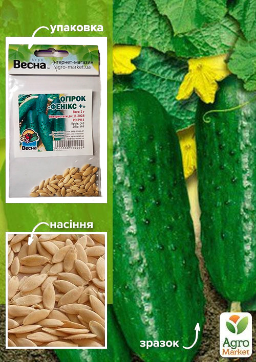

Огірок Фенікс + (Зипер) ТМ Весна 2г