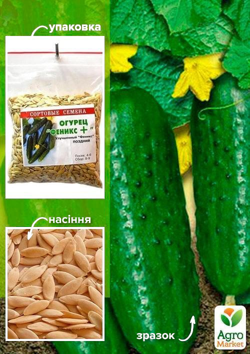 

Огірок Фенікс + ТМ Весна 100г