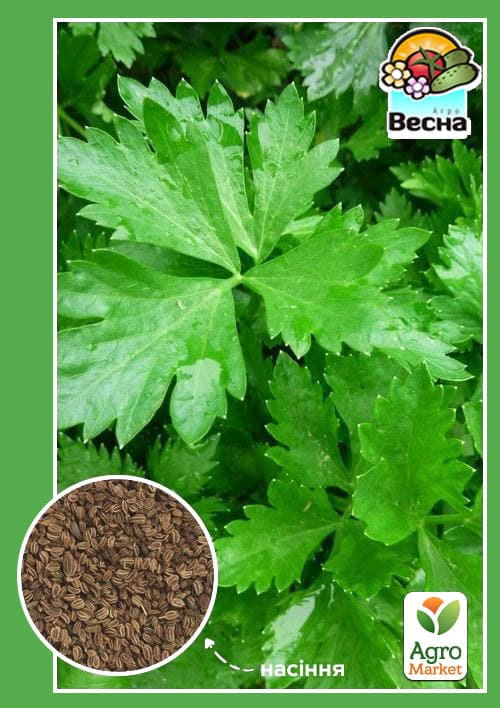 

Селера Листовий ТМ Весна 0.3г