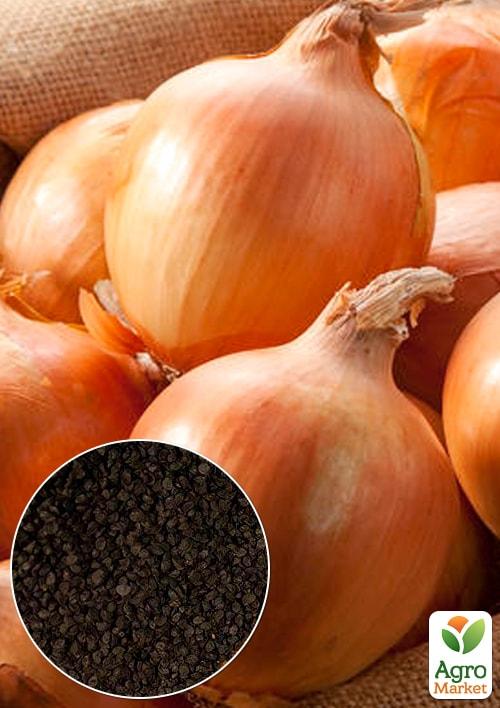 На вагу Цибуля "Здоровань" ТМ "Весна" ціна за 5г