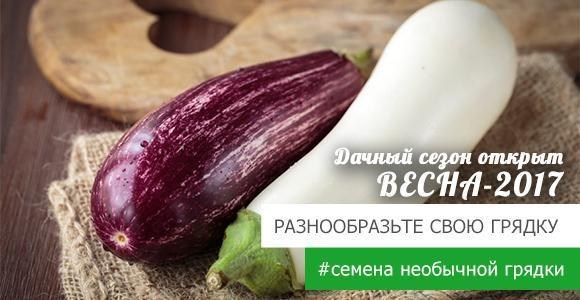 Дарим Вам скидку на весь раздел семян необычной грядки Дарим Вам скидку на весь раздел семян необычной грядки