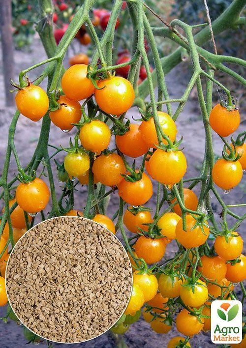 

На развес Томат Черри желтый ТМ Весна цена за 1г