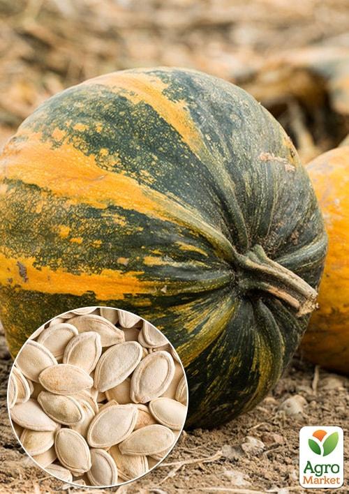 

На вагу Гарбуз Осіння солодкість ТМ Весна ціна за 10г