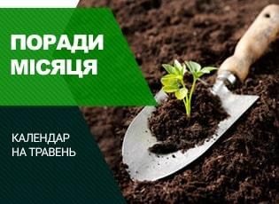 Місячний календар на травень 2020
