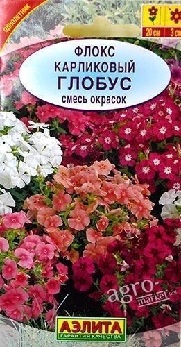 Флокс карликовий "Глобус" суміш забарвлень ТМ "Аеліта" 0.1г