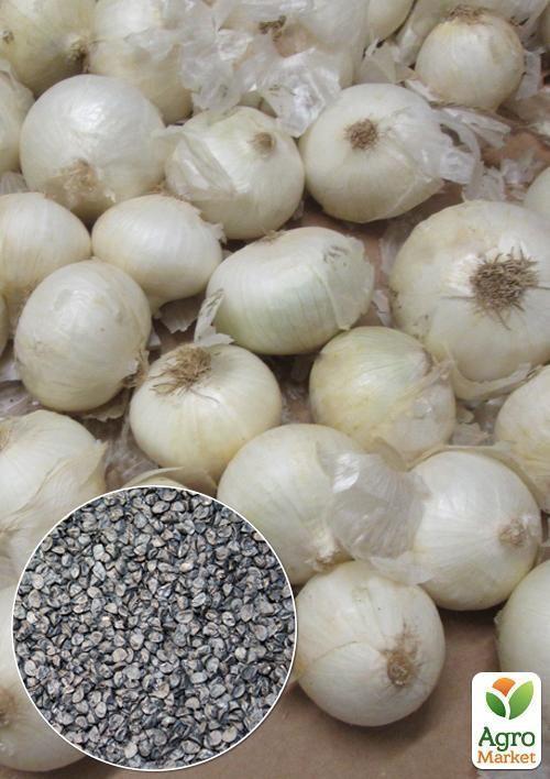 На вагу Цибуля "Білий" ТМ "Весна" ціна за 3г