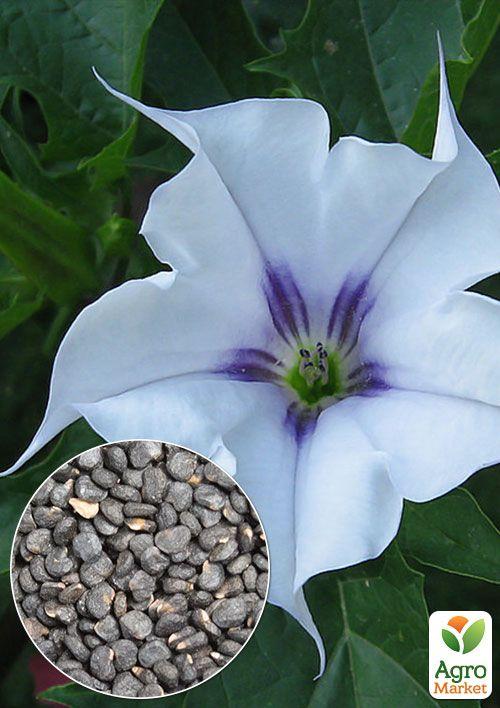 

На вагу Датура блакитна ТМ Весна ціна за 4г