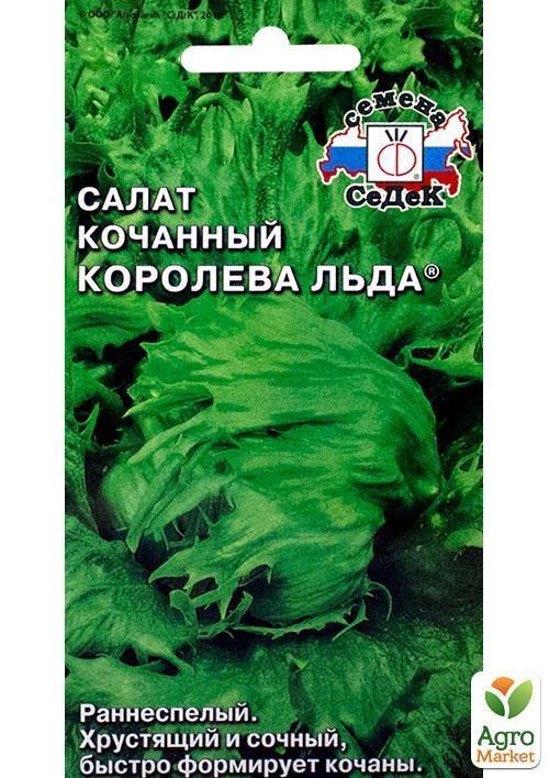 Салат кочанный королева льда фото