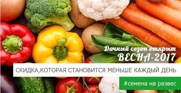 Максимальная скидка, которая становится меньше каждый день! Максимальная скидка, которая становится меньше каждый день!