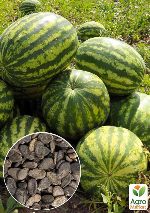 

На вагу Кавун Сяюча гора ТМ Весна ціна за 6г