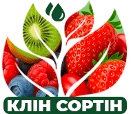 Ягодный драйв Ягодный драйв