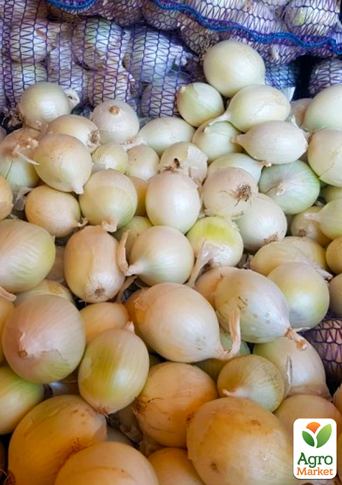 

Цибуля-сіянка 1кг (арбажейка) білий Молдавський білий (Україна)