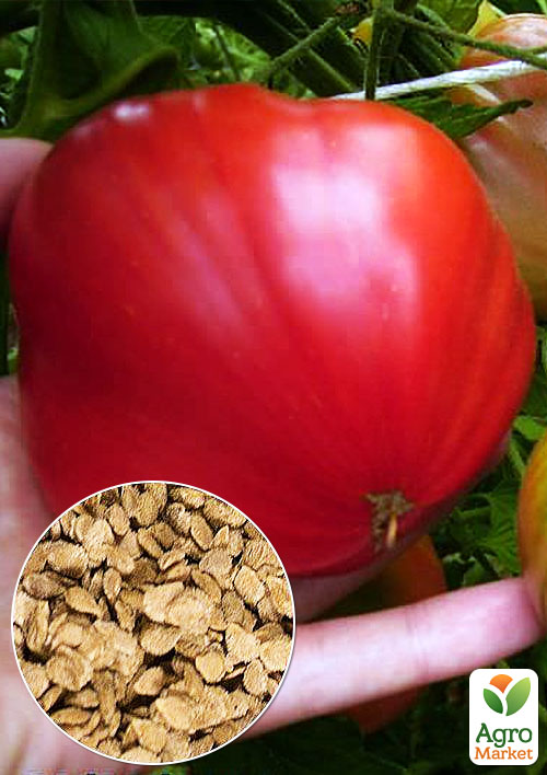 

На вагу Томат Англійський сніданок ТМ Весна ціна за 1г