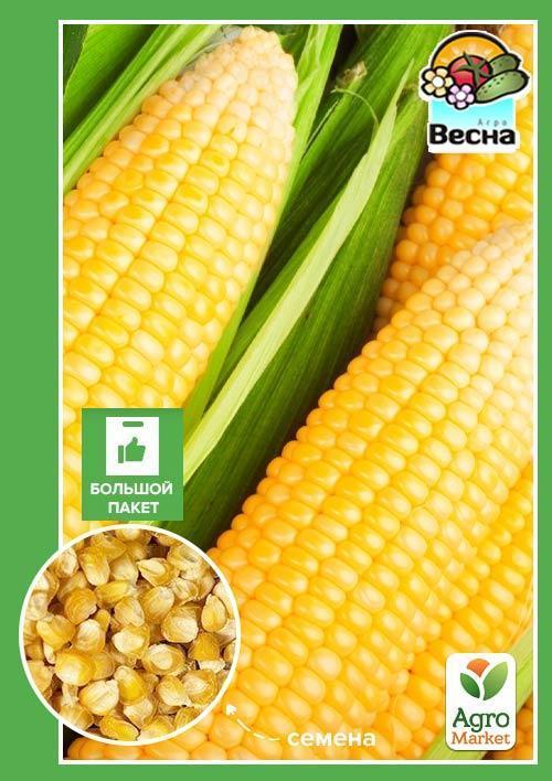 Кукуруза Бондюэль: основные характеристики