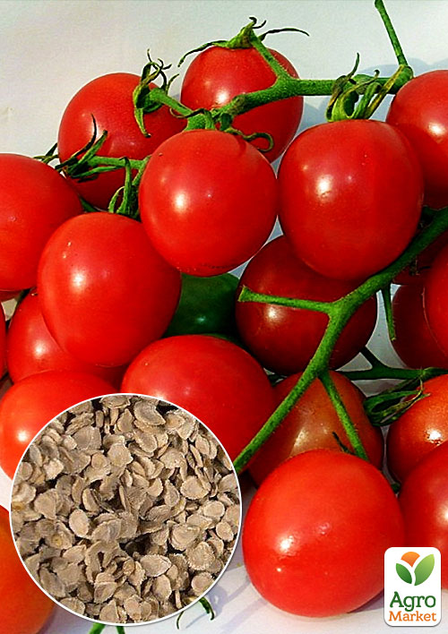 

На развес Томат Мексиканский мед ТМ Весна цена за 1г