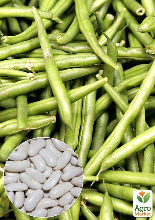 

На развес Фасоль Росилка ТМ Весна цена за 15г