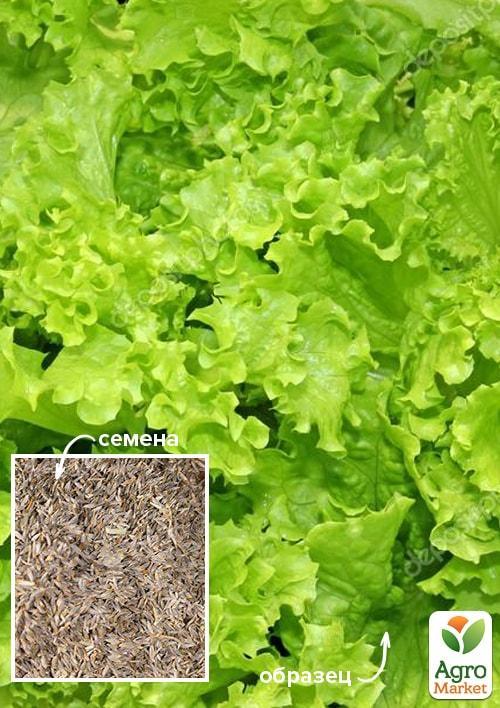 

На развес Салат Хрустящий витамин ТМ Весна цена за 8г