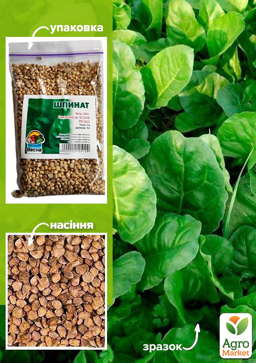

Шпинат ТМ Весна 100г