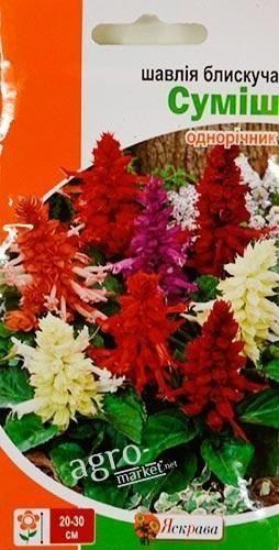 Сальвия блестящая "Смесь" ТМ "Яскрава" 0.2г