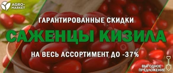 Акция! Поторопитесь выписать кизил по выгодной цене со скидкой до -37% Акция! Поторопитесь выписать кизил по выгодной цене со скидкой до -37%