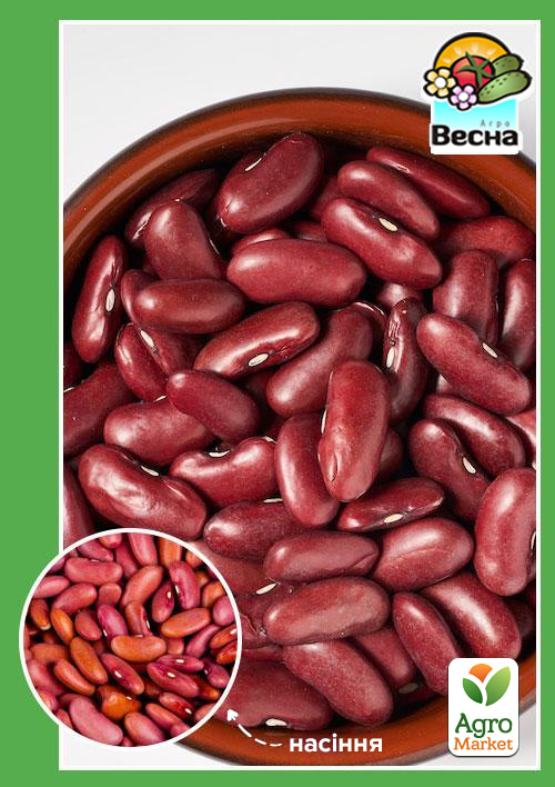 

Квасоля Рубін (Великий пакет) ТМ Весна 5г