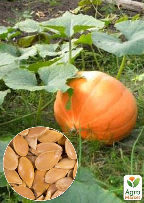 

На развес Тыква Титан ТМ Весна цена за 10г