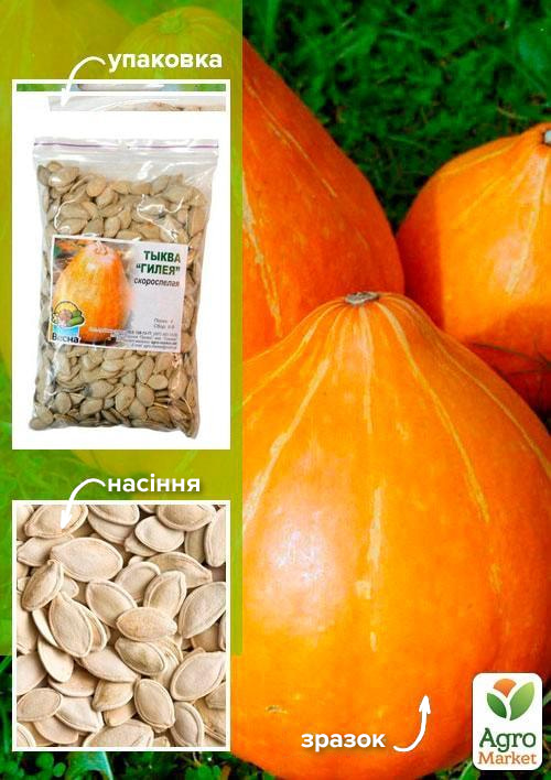 

Гарбуз Гілея ТМ Весна 500г