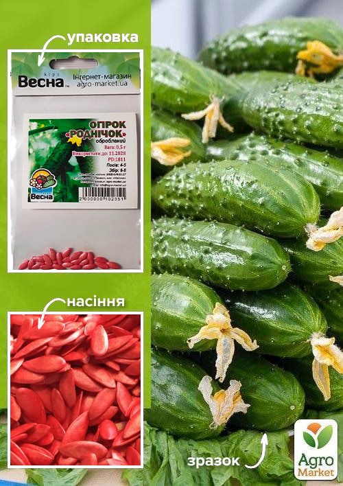 

Огірок оброблений Роднічок (Зипер) ТМ Весна 0.5г