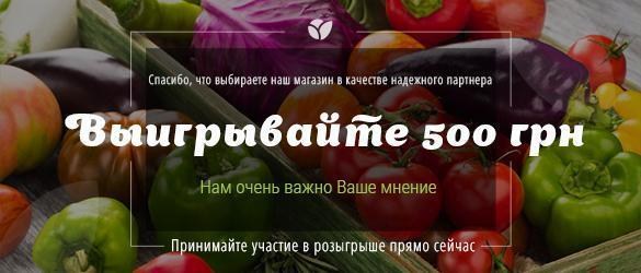 Поделитесь с нами своим мнением и получайте 500 грн на бонусный счет Поделитесь с нами своим мнением и получайте 500 грн на бонусный счет